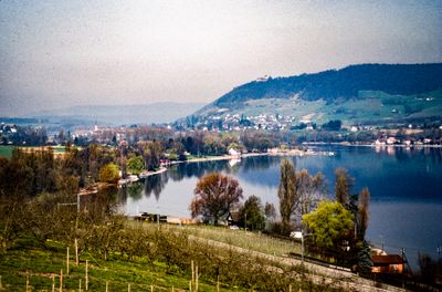 56735_00704.jpg