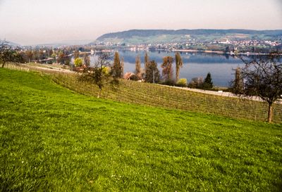 56735_00708.jpg