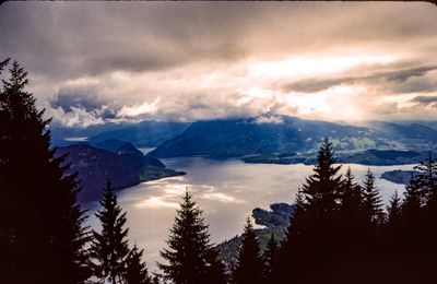 56735_00810.jpg