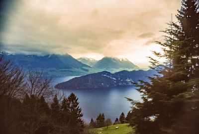 56735_01206.jpg