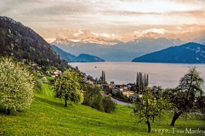 56735_01801-Edit.jpg