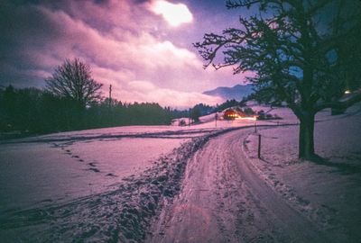 56742_00401.jpg