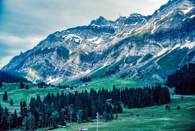 56743_00206.jpg