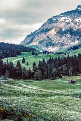 56743_00207-Edit.jpg