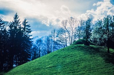 56743_00210.jpg
