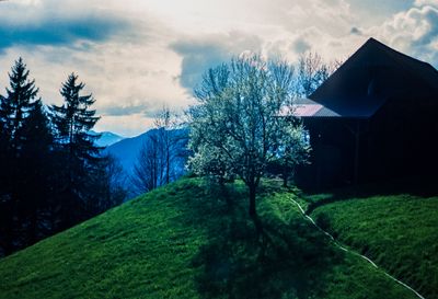 56743_00211.jpg