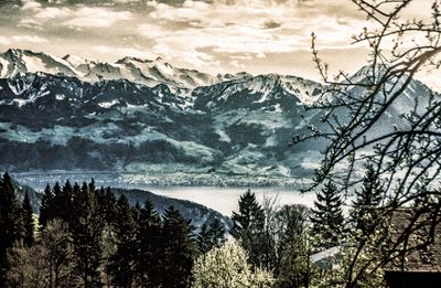 56743_00213-Edit-2.jpg
