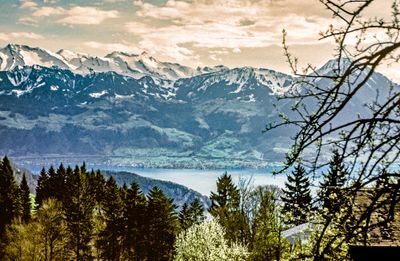 56743_00213-Edit.jpg