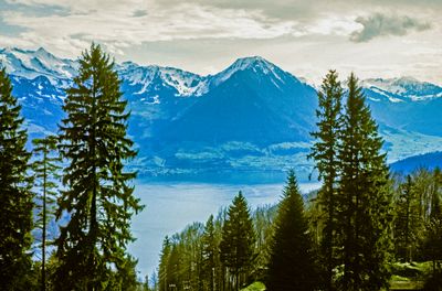 56743_00215-Edit.jpg