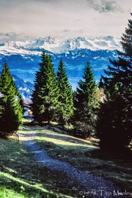 56743_00405-Edit.jpg