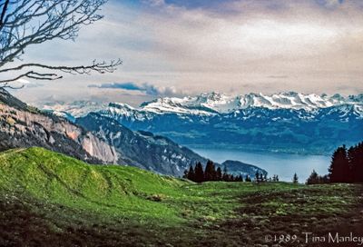 56743_00407-Edit.jpg