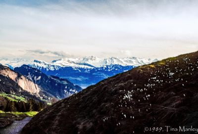 56743_00409-Edit.jpg