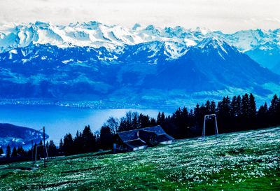 56743_00411.jpg