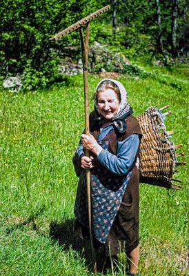 Farming