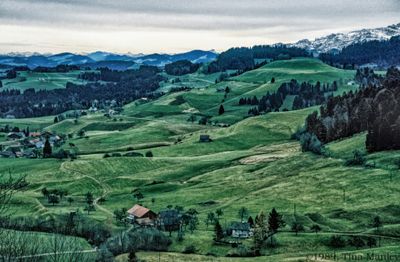 56773_01119-Edit.jpg