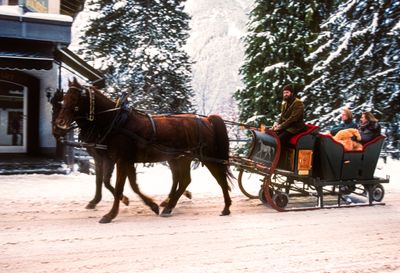 Carriage Ride