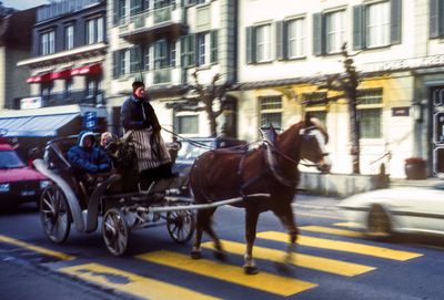 Carriage Ride