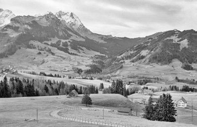 567_100805-Edit.jpg