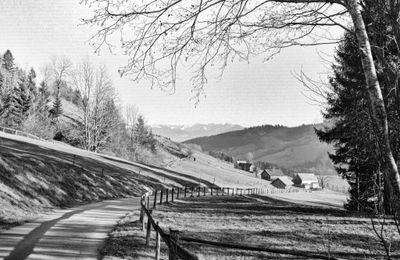 567_101435-Edit.jpg