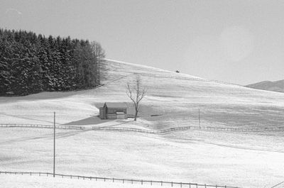 567_102717.jpg