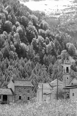567_130611.jpg