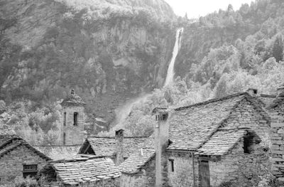 567_130804.jpg