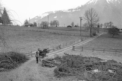567_173220.jpg