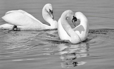567_78723-Edit.jpg