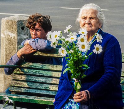 Flowers for Sale