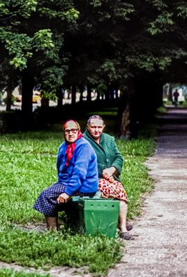 In the Park