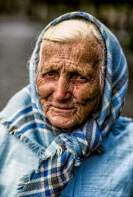 The Gardener