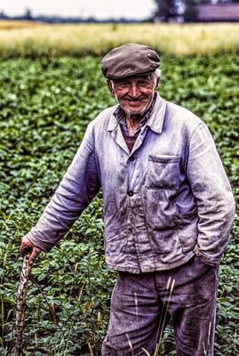 The Farmer