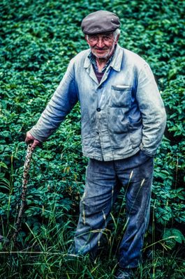 The Farmer