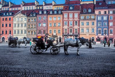 55590_00719-Edit.jpg