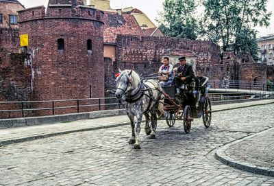 Carriage Ride