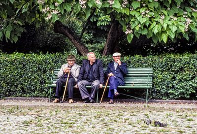 The Park Bench