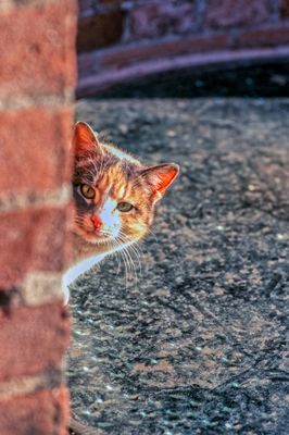 53100_00315-Edit-2-Edit.jpg