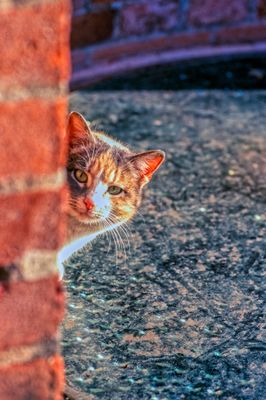 53100_00315-Edit-2.jpg