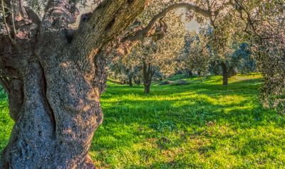 53101_00305-Edit.jpg