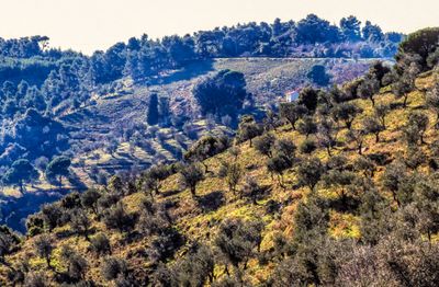 53101_00321-Edit.jpg