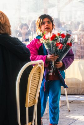Flowers for Sale