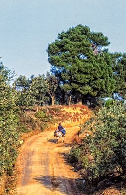 53152_00118-Edit.jpg