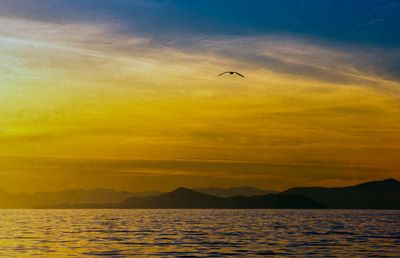 53193_00305-Edit.jpg