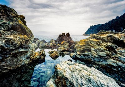 53196_00313.jpg