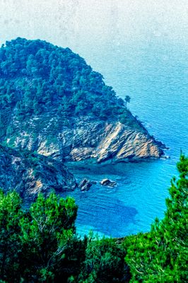 53196_00317-Edit.jpg