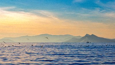 53196_00603-Edit.jpg