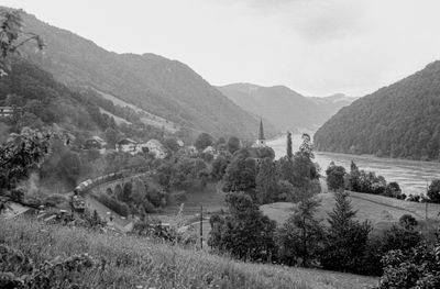 53390_50013.jpg