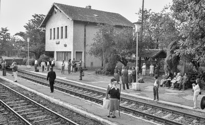 The Train Station