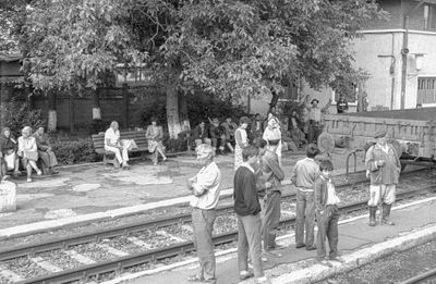 558_137832.jpg