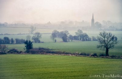 In the Fog
